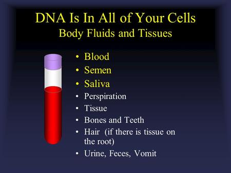 DNA Is In All of Your Cells Body Fluids and Tissues Blood Semen Saliva Perspiration Tissue Bones and Teeth Hair (if there is tissue on the root) Urine,