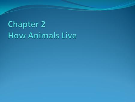 Chapter 2 How Animals Live