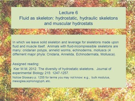 Lecture 6 Fluid as skeleton: hydrostatic, hydraulic skeletons and muscular hydrostats In which we leave solid skeleton and leverage for skeletons made.