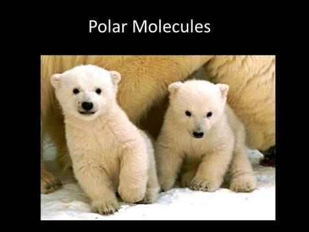 Polar Molecules.