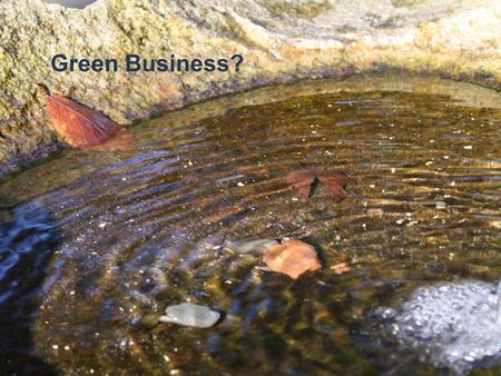 April 2011 Green Business Green Business?. What we are going to do ✤ Explore the Future ✤ Critique business practices in the light of the Future ✤ What.