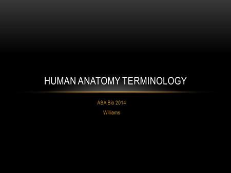 Human Anatomy Terminology