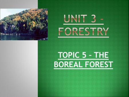 TOPIC 5 – THE BOREAL FOREST  Boreal Forests are also known as TAIGA forests  What portion of forests are BOREAL?  Boreal forests are CIRCUMPOLAR,