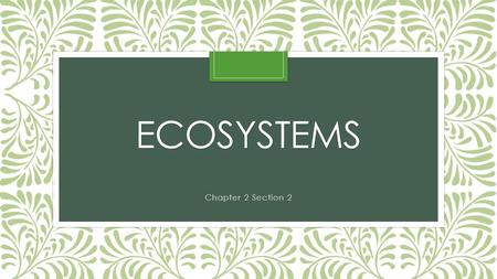 ECOSYSTEMS Chapter 2 Section 2. What is an ecosystem? The interaction of plants and animals and the physical environment where they live. Many factors.
