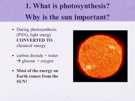 1. What is photosynthesis? Why is the sun important?