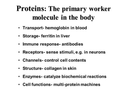 Proteins : The primary worker molecule in the body Transport- hemoglobin in blood Storage- ferritin in liver Immune response- antibodies Receptors- sense.