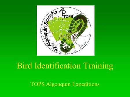 Bird Identification Training TOPS Algonquin Expeditions.