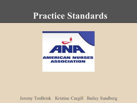 Practice Standards Jeremy TenBrink Kristine Cargill Bailey Sundberg.