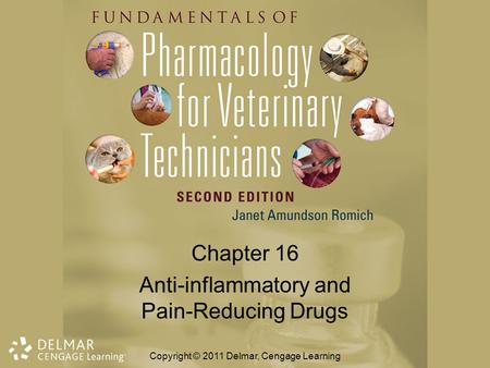 Chapter 16 Anti-inflammatory and Pain-Reducing Drugs
