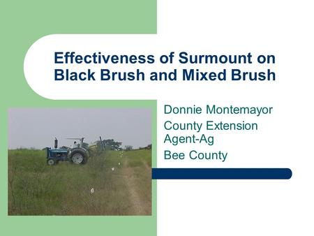 Effectiveness of Surmount on Black Brush and Mixed Brush Donnie Montemayor County Extension Agent-Ag Bee County.