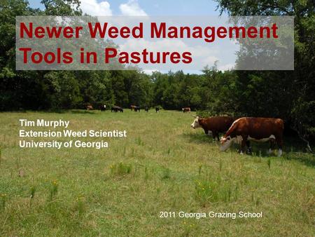 1 Tim Murphy Extension Weed Scientist University of Georgia Newer Weed Management Tools in Pastures 2011 Georgia Grazing School.