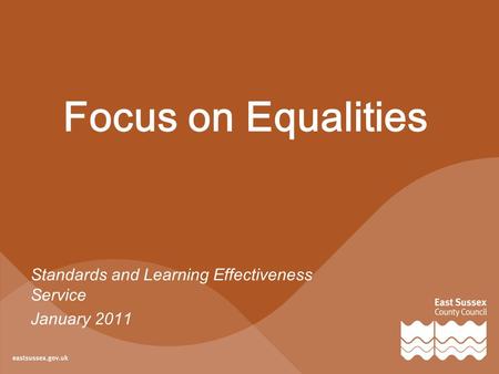 Focus on Equalities Standards and Learning Effectiveness Service January 2011.