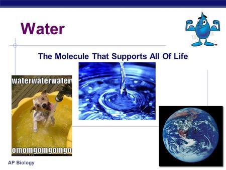 AP Biology 2007-2008 Water The Molecule That Supports All Of Life.
