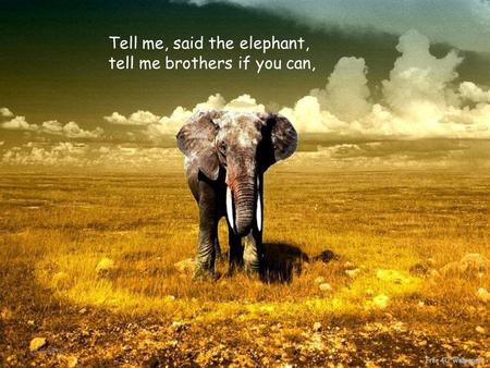 20-8-2015 Tell me, said the elephant, tell me brothers if you can,