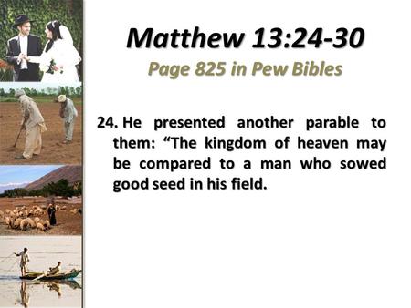 Matthew 13:24-30 Page 825 in Pew Bibles 24. He presented another parable to them: “The kingdom of heaven may be compared to a man who sowed good seed in.