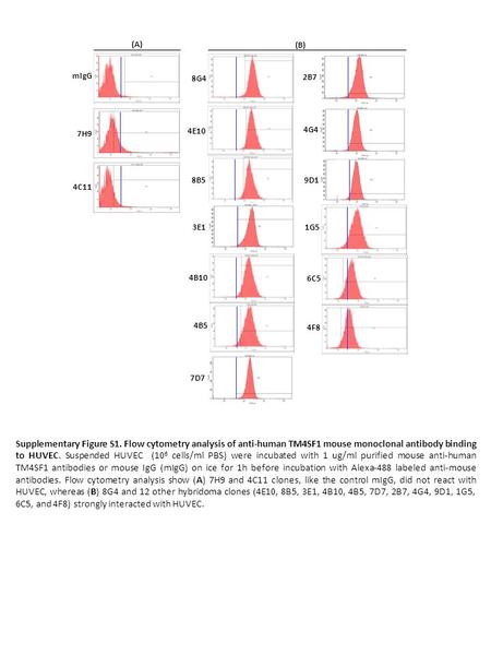 Supplementary Figure S1. Flow cytometry analysis of anti-human TM4SF1 mouse monoclonal antibody binding to HUVEC. Suspended HUVEC (10 6 cells/ml PBS) were.