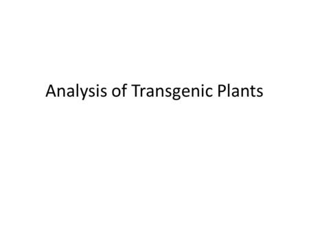 Analysis of Transgenic Plants. 1.Regeneration on Selective Medium Selectable Marker Gene.
