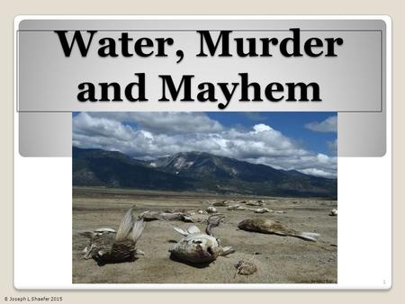 Water, Murder and Mayhem 1 Andy Barron / RGJ © Joseph L Shaefer 2015.