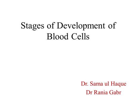 Stages of Development of Blood Cells Dr. Sama ul Haque Dr Rania Gabr.