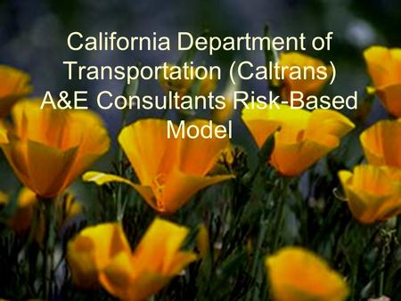 1 California Department of Transportation (Caltrans) A&E Consultants Risk-Based Model.