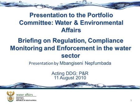 Presentation to the Portfolio Committee: Water & Environmental Affairs Presentation by Mbangiseni Nepfumbada Acting DDG: P&R 11 August 2010 1 Briefing.
