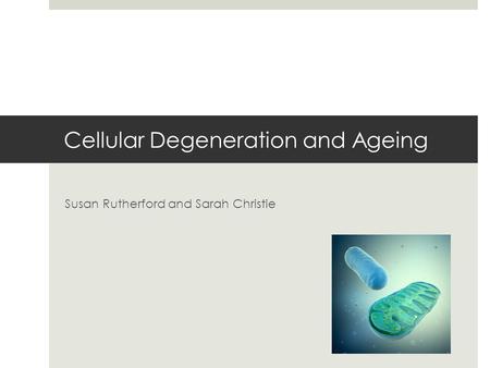 Cellular Degeneration and Ageing Susan Rutherford and Sarah Christie.