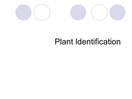 Plant Identification.