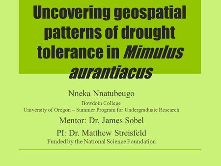 Uncovering geospatial patterns of drought tolerance in Mimulus aurantiacus Nneka Nnatubeugo Bowdoin College University of Oregon – Summer Program for Undergraduate.