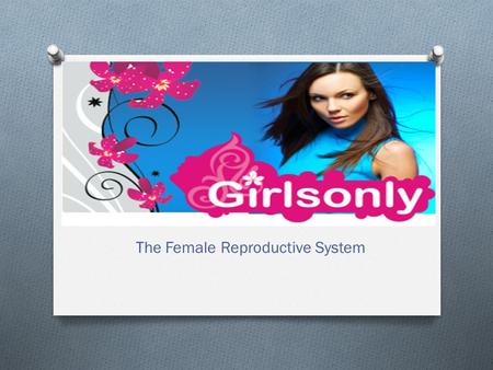 The Female Reproductive System