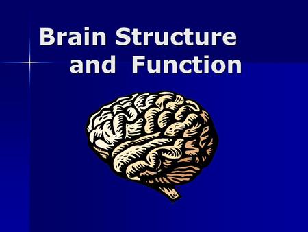 Brain Structure and Function. Overview Lobes of the brain (Forebrain) Lobes of the brain (Forebrain) Midbrain/Hindbrain Midbrain/Hindbrain Protection.