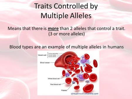 Traits Controlled by Multiple Alleles Means that there is more than 2 alleles that control a trait. (3 or more alleles) Blood types are an example of multiple.