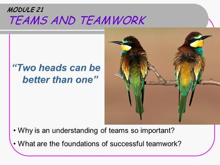 MODULE 21 TEAMS AND TEAMWORK “Two heads can be better than one” Why is an understanding of teams so important? What are the foundations of successful teamwork?
