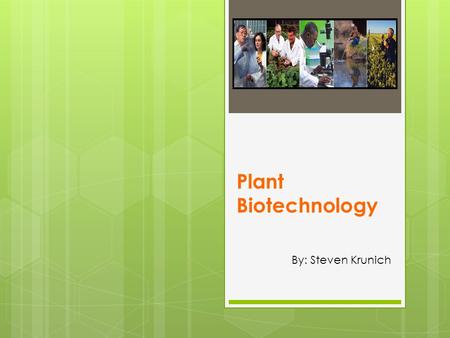 Plant Biotechnology By: Steven Krunich.