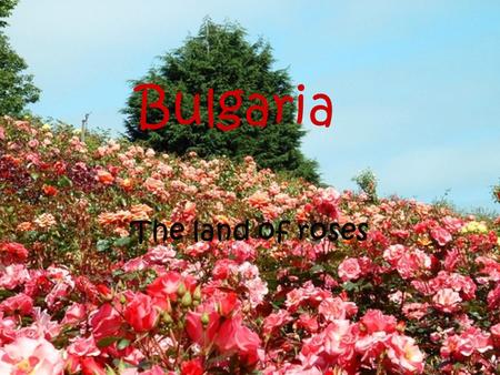 Bulgaria The land of roses. Our country in general Capital: Sofia Official Languages: Bulgarian Population: 2001 census -7,932,984 2008 estimate -7,606,551.
