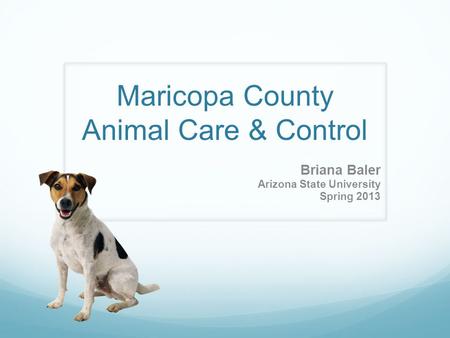 Maricopa County Animal Care & Control Briana Baler Arizona State University Spring 2013.