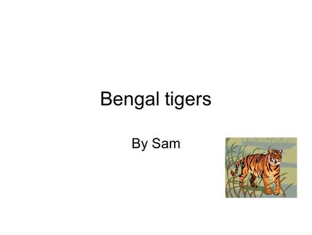 Bengal tigers By Sam. Bengal tiger behavior Mothers have at most 5 cubs, and each is 2 pounds. For 2 months the cubs drink their mothers milk, but after.
