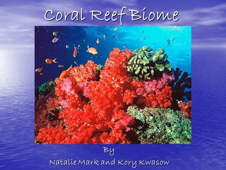 Coral Reef Biome By Natalie Mark and Kory Kwasow.