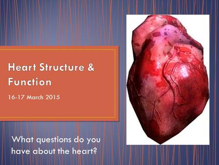 16-17 March 2015 What questions do you have about the heart?