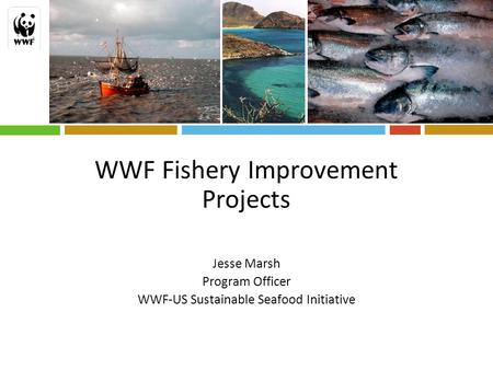 WWF Fishery Improvement Projects © flyfishingrussia.blogspot.com© ellliorteskeyphotography.com Jesse Marsh Program Officer WWF-US Sustainable Seafood Initiative.