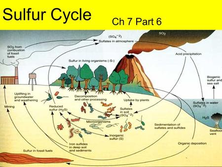 Sulfur Cycle Ch 7 Part 6.