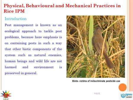 Physical, Behavioural and Mechanical Practices in Rice IPM