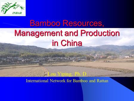 Bamboo Resources, Management and Production in China Lou Yiping, Ph. D International Network for Bamboo and Rattan.