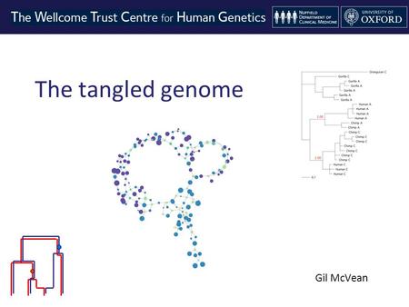 The tangled genome Gil McVean. The real heroes.