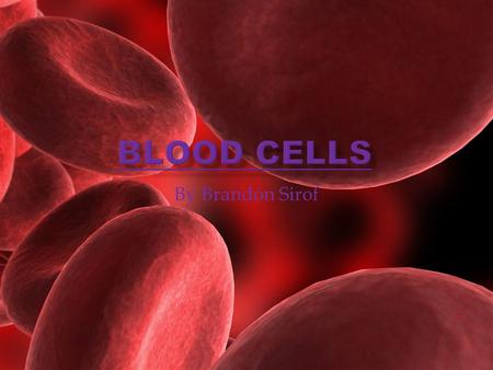 Blood Cells By Brandon Sirof.