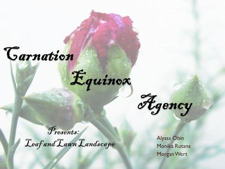 Carnation Equinox Agency Presents: Leaf and Lawn Landscape Alyssa Obin Monika Rutana Morgan Wert.