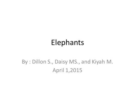 Elephants By : Dillon S., Daisy MS., and Kiyah M. April 1,2015.