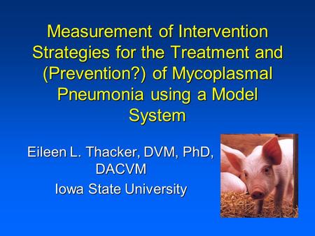 Measurement of Intervention Strategies for the Treatment and (Prevention?) of Mycoplasmal Pneumonia using a Model System Eileen L. Thacker, DVM, PhD, DACVM.
