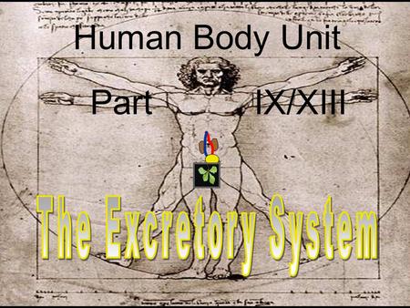 Human Body Unit Part IX/XIII. New Area of Focus: The Excretory System New Area of Focus: The Excretory System Copyright © 2010 Ryan P. Murphy.