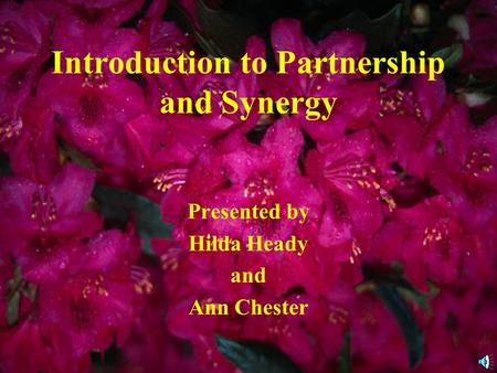 Introduction to Partnership and Synergy Presented by Hilda Heady and Ann Chester.
