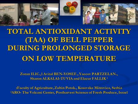 TOTAL ANTIOXIDANT ACTIVITY (TAA) OF BELL PEPPER DURING PROLONGED STORAGE ON LOW TEMPERATURE Zoran ILIC.,1 Avital BEN-YOSEF., Yaccov PARTZELAN., Sharon.